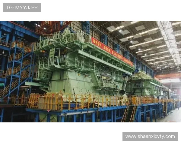 上海排球队的崛起之路：从默默无闻到世界杯预选赛的舞台