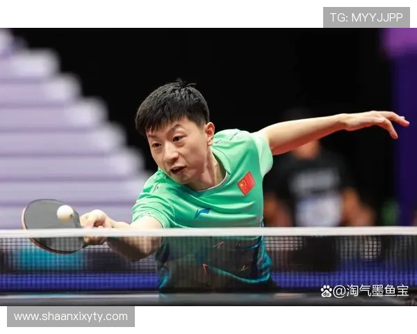 杭州乒乓球队的奋斗历程与荣耀时刻全景回顾