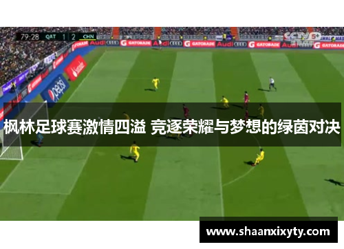 枫林足球赛激情四溢 竞逐荣耀与梦想的绿茵对决