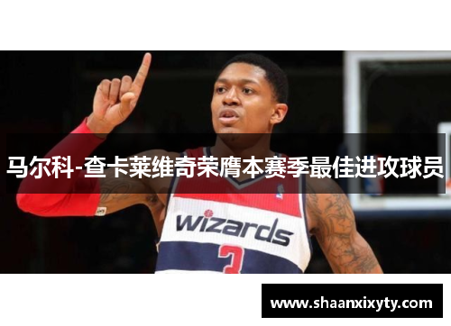 马尔科-查卡莱维奇荣膺本赛季最佳进攻球员