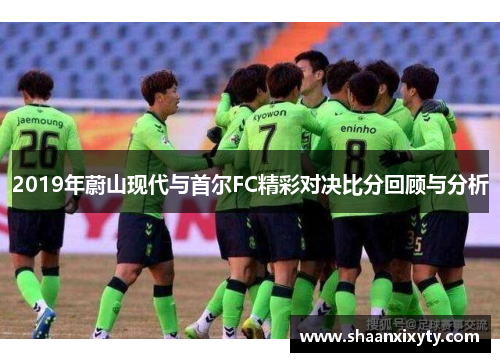 2019年蔚山现代与首尔FC精彩对决比分回顾与分析