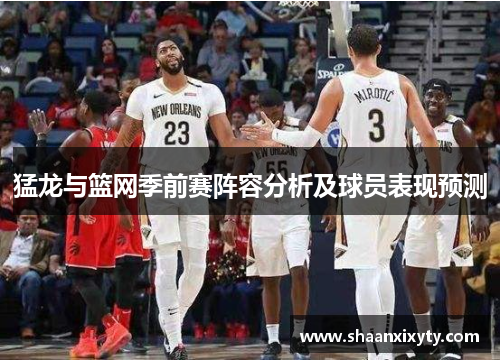 猛龙与篮网季前赛阵容分析及球员表现预测