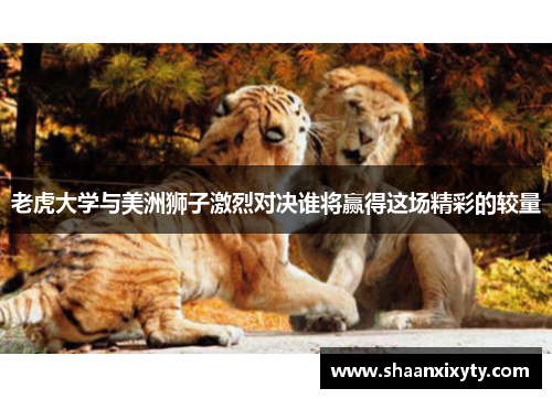 老虎大学与美洲狮子激烈对决谁将赢得这场精彩的较量